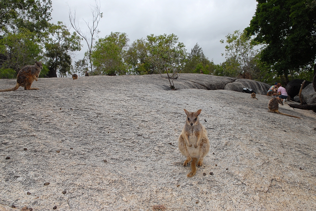 0280 Granite Gorge.jpg